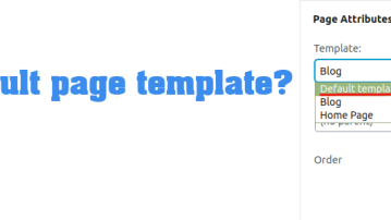 How to check it’s default page template?