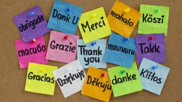 Redirect to Thank You Page After Contact Form 7 Submission — Multiple Forms Solution