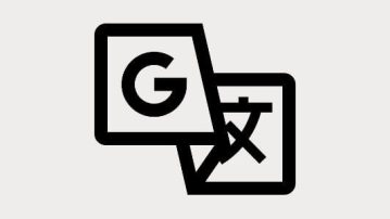 Fix Google Language Translator Plugin Changing Letter Case After Translation