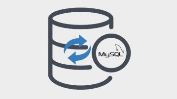 Find and Replace a String Across the Entire WordPress Database